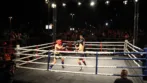 Otvoreno MMA prvenstvo Beograda Delta City