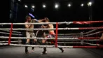 Otvoreno MMA prvenstvo Beograda Delta City