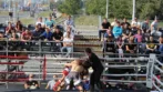 Otvoreno MMA prvenstvo Beograda Delta City